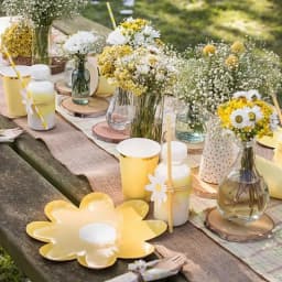 10pcs Daisy Disposable Tableware Colorful Daisy Plates For Wedding Decoration Kids Daisy Themed Happy Birthday Party Supplies