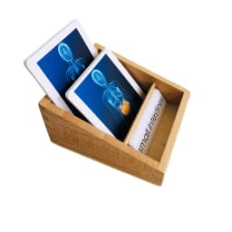 Montessori Language Materials Human Organ Models W/ Cards Biology Learning Resources Early Educational Equipment Teaching Aids