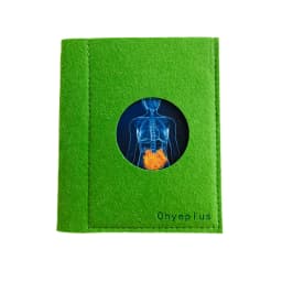 Montessori Language Materials Human Organ Models W/ Cards Biology Learning Resources Early Educational Equipment Teaching Aids