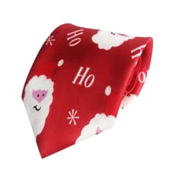 EASTEPIC Men's Neckties Light Thin Christmas Ties for Men Children's Toys Holiday Party Santa Claus Xmas Tree Snowflake Snowman
