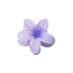 Hawaiian Gradient Hair Clips Flower Hair Claws Big Size Fashion Head wear Hairpin for Women Girls Crab Barrette Hair Accessories