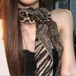 Women French Long Rose Flower Silk Scarf Flutter Shirt Y2K Fashion Temperament Accessories Summer Sunscreen Sunshade Scarfs