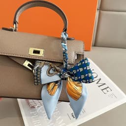 New Fashion Retro Pinrt Bag Luxury Designer Womens Silk Scarf Headwear Long Skinny Tie Scarves Ribbon Accessories Summer