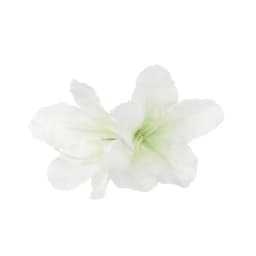 Bohemia Flower Hair Clips Hawaiian Tropical Beach Canna Barrette Women Girls Brides Weddings Hairpins Headwear Hair Accessories