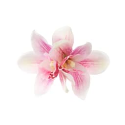 Bohemia Flower Hair Clips Hawaiian Tropical Beach Canna Barrette Women Girls Brides Weddings Hairpins Headwear Hair Accessories