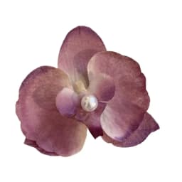 Cloth Butterfly Flower Hair Clip Pearl Korean Style Orchid Flower Hairpin Seaside Vacation Headwear Headdress Girl Hair Clip
