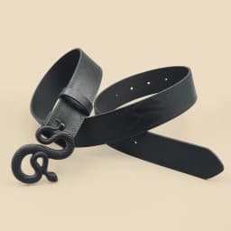 Black Casual Pu Women's Belt with High-End Feel, Matte Snake Buckle Fashion Belt, Dress, Jeans, Shirt Accessories