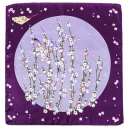 Silk Satin Scarf For Women, 70x70cm, Printed Handkerchief, Square Head Bandana, Small Neck Silencer,Ab For Ladies And Girls