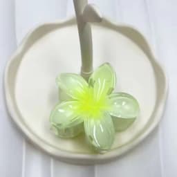 Elegant Gradient Hair Clips Flower Hair Claws Big Size Fashion Head Wear Hairpin for Women Girls Crab Barrette Hair Accessories