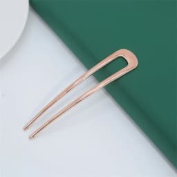 Simple U Shaped Metal Hair Sticks 2 Prongs Twist Hair Fork For Buns Chignons Women Girls Ponytail Hold Daily Hairstyles Tool