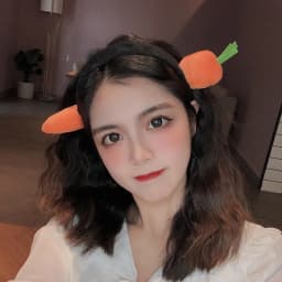 Funny Carrot Headband for Women Elegant Salted Fish Wear It When Washing Your Face and Going Out Hairband Fashion Girl Headwear