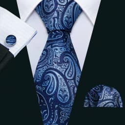 Hi-Tie Mens Gift Tie Set Striped Paisley Floral Pink Red Grey Black Wedding For Men Design Hanky Cufflink Dropshipping