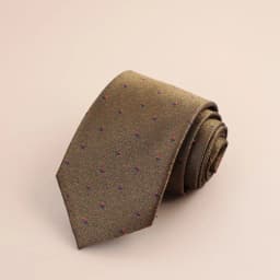 8cm Mens Fashion Brown Color Neckties Polyester Jacquard Paisley Striped Neck Ties Vintage Business Formal Tie Tuxedo Cravat