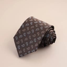 8cm Mens Fashion Brown Color Neckties Polyester Jacquard Paisley Striped Neck Ties Vintage Business Formal Tie Tuxedo Cravat