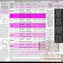 Sheer Corset Waist Shaping Girdle Fishbone Bustier with Tied for Women