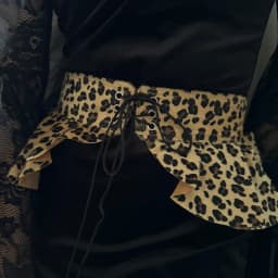 Designer Belts For Women High Quality Punk Style leopard Slimming Black Corset Belt For Skirt Y2K Cummerbunds Female Waistband