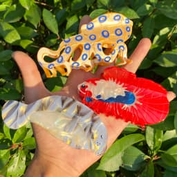 Y2K Multiple Styles Ocean Series Large Size Hair Clip Claw For Women New Funny Acetate Tortoise Octopus Barrettes Headwear