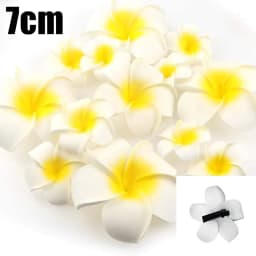 2025 New Women Plastic Flower Hair Clips Fashion Girls Hairpins Egg Flowers Barrette Hawaiian Vacation Leisure Hair Accessories