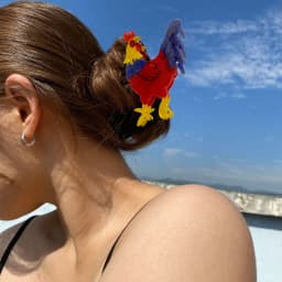 New Y2k Colorful Acrylic Rooster Shape Hair Clip Claw For Women Girls Creative Cartoon Animal Ponytail Hairpin Hair Accessories