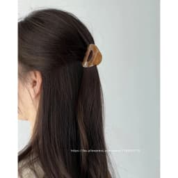 South Korean France Gold Label Small Half Size Princess Hair Clip French Style Hawksbill Shark Hair Clip Grab Clip