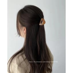 South Korean France Gold Label Small Half Size Princess Hair Clip French Style Hawksbill Shark Hair Clip Grab Clip