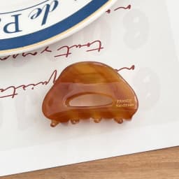 South Korean France Gold Label Small Half Size Princess Hair Clip French Style Hawksbill Shark Hair Clip Grab Clip