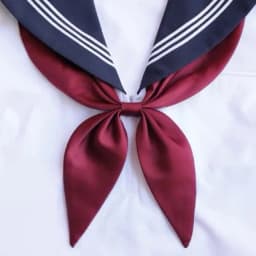 Classic Wine Red Ladies Bow tie Shirts Collars Tie For Women Business Bowknot Student Bow Ties JK Butterfly Girls Suits Bowties
