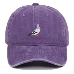 Baseball cap suitable for all seasons, pigeon embroidery pattern, men's and women's daily casual fashion, outdoor sun protection