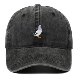 Baseball cap suitable for all seasons, pigeon embroidery pattern, men's and women's daily casual fashion, outdoor sun protection