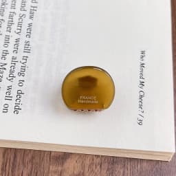 Cute little bear ear clip~Korea France simple round hair clip, small bangs clip, side clip