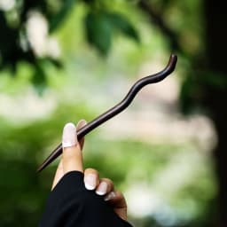 Retro New Chinese Style Cool Tail Sandalwood Hairpin with Chinese Style One Word Plate Hairpin, Ancient Hanfu Headpiece