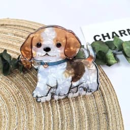 1pc cute medium animal hairpin, curly Shiba Inu corgi puppy acrylic grip clip cartoon hairpin pan hair shark clip