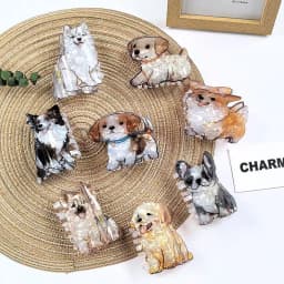 1pc cute medium animal hairpin, curly Shiba Inu corgi puppy acrylic grip clip cartoon hairpin pan hair shark clip