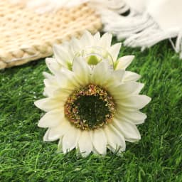 AWAYTR Sweet Flower Hair Clips Fun Sunflower Stripe Hair Claw Hairpin for Women Floral Claws Fashion Girl Hair Accessories Gift