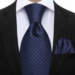 Elegant Ties For Men Gift Fashion Men Tie Set Striped Dot Luxury Necktie Handchief 2 Pcs Business Wedding Suit Accessories