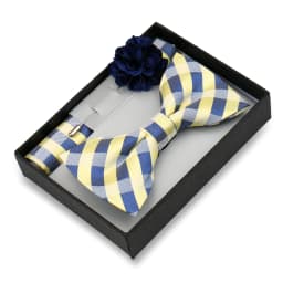 Classic High Quality Bow Tie Set Box Gift For Men Fashion Elegant Bowtie Handchief And Brooch Set Wedding Business Accessories