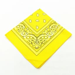 Unisex men women bandana hairband cowboy mens biker sports headwear wrist hairwrap single sided head wrap scarf Paisley