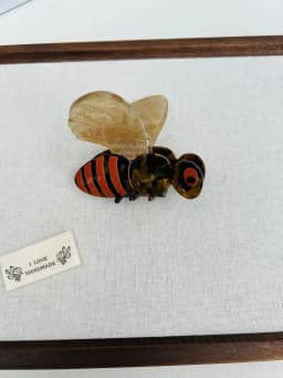 3 Insect Claw Hair Clips. Unique Casual Island Style. Acetate, Handmade. High - Quality. Fashion - Trendy。