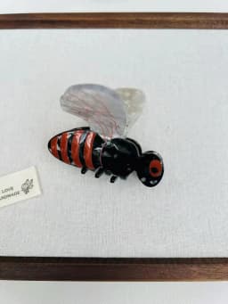 3 Insect Claw Hair Clips. Unique Casual Island Style. Acetate, Handmade. High - Quality. Fashion - Trendy。