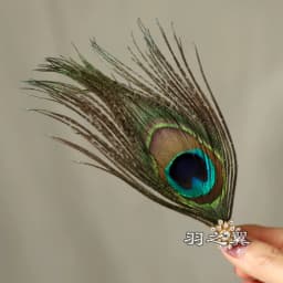 Peacock Women Hair Clip Feather Wedding Headband Headwear Carnival Fancy Dress Hair Pin Hairpin Hair Accessories