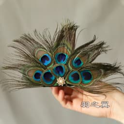 Peacock Women Hair Clip Feather Wedding Headband Headwear Carnival Fancy Dress Hair Pin Hairpin Hair Accessories