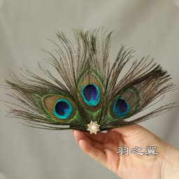 Peacock Women Hair Clip Feather Wedding Headband Headwear Carnival Fancy Dress Hair Pin Hairpin Hair Accessories
