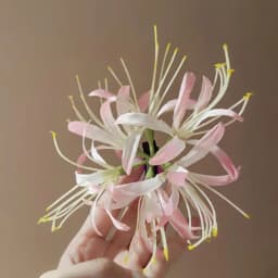 Super Delicate Flower Hair Clip Seaside Atmosphere Clip Photo Hair Accessories Duckbill Clip Lily Hairpins Side Clips