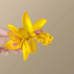 1pc Floral Hair Clip for Women Side Realistic Flower Hair Accessories Hairpin Orchid Hair Decoration Hair Flower
