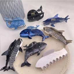 New Acetate Shark Whale Hair Catch Metal Acrylic Blue Whale Dolphin Hair Clip Hair Accessories Cartoon Shark Clip