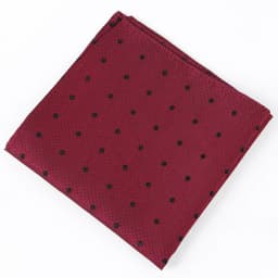 Tailor Smith Men's 100% Silk Dot Pocket Square Handkerchief for Business Suit Wedding Elegant Hanky