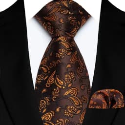 Men's Ties Set Luxury Paisley Floral Neck Ties Business Formal Necktie Pocket Square Set For Wedding Party Suits Accessories
