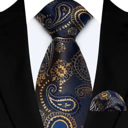 Men's Ties Set Luxury Paisley Floral Neck Ties Business Formal Necktie Pocket Square Set For Wedding Party Suits Accessories
