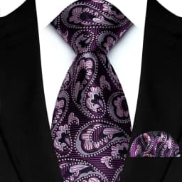 Men's Ties Set Luxury Paisley Floral Neck Ties Business Formal Necktie Pocket Square Set For Wedding Party Suits Accessories