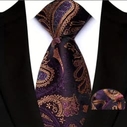Men's Ties Set Luxury Paisley Floral Neck Ties Business Formal Necktie Pocket Square Set For Wedding Party Suits Accessories
